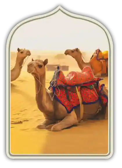 Jaisalmer Desert Tour